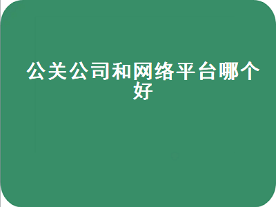 公关公司和网络平台哪个好